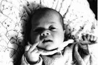 Picture for song '18 on the round' by artist 'The Walking Wandas'