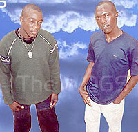 Picture for song 'Kingdom Reality' by artist 'The WOGS'