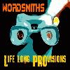 Picture for song 'Lifelong PROvisions' by artist 'The Wordsmiths'