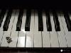 Picture for song 'FFF2 - 02 - Piano Chamber featuring Theory' by artist 'The World'