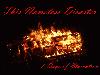 Picture for song 'Screaming Lullabies' by artist 'This Nameless Disaster'