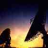 Picture for song 'Polarity' by artist 'Thomas Trotter'