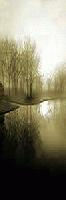 Picture for song 'Cambrian Forest' by artist 'Thom Brennan'