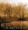 Picture for song 'The Path Not Taken' by artist 'Thom Brennan'