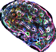 Picture for song 'ablonia' by artist 'threadshaped'