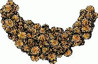 Picture for song 'globular you and i' by artist 'threadshaped'