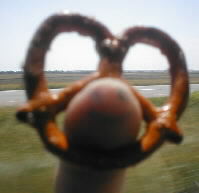 Picture for song 'Daddy's Always There' by artist 'Three Eyed Cat'