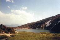 Picture for song 'Go' by artist 'Three Eyed Cat'