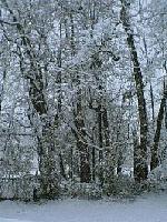 Picture for song 'May the Lord Bless' by artist 'Three Eyed Cat'