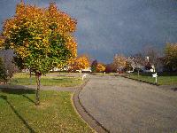 Picture for song 'Autumn Leaves' by artist 'Three Steps'