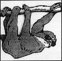 Picture for song 'Cry Alone' by artist 'Three Toad Sloth'