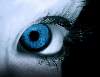 Picture for song 'Infatuated' by artist 'Thrift'