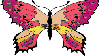 Picture for song 'Les Papillons (The Butterflies)' by artist 'Thrift Shop Fashion Show'