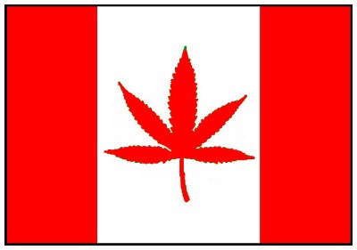 Picture for song 'Lean Back Remix' by artist 'Throat Cuttah'