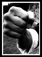 Picture for song 'North Side Bangaz (censored)' by artist 'Throwback Big Bones Tracks'