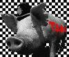 Picture for song 'C.S. Spray Murdering Scum' by artist 'Throw Bricks At Coppers'
