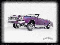 Picture for song 'lil oak freestyle' by artist 'THROWED YUNG PLAYA'