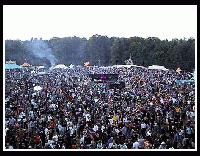 Picture for song 'secret mushrooms of Mexico' by artist 'Thujon'