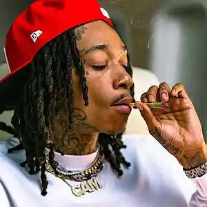 Picture for song 'Woes - Wiz Khalifa x Lil Skies' by artist 'Thunderjet'