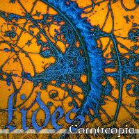 Picture for song 'A Curious Memory' by artist 'Tides'