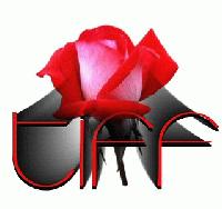 Picture for song 'Game Over (A Love Story)' by artist 'Tiff'