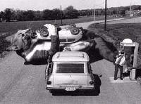 Picture for song 'Soulvasq - Aliens Ate My Buick (Demo)' by artist 'Tigerfolly'