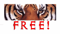 Picture for song 'tongue twist dis' freestyle beat' by artist 'Tiger-Jizzy'