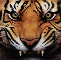 Picture for song 'We Be Rollin' (rock remix)' by artist 'Tiger-Jizzy'