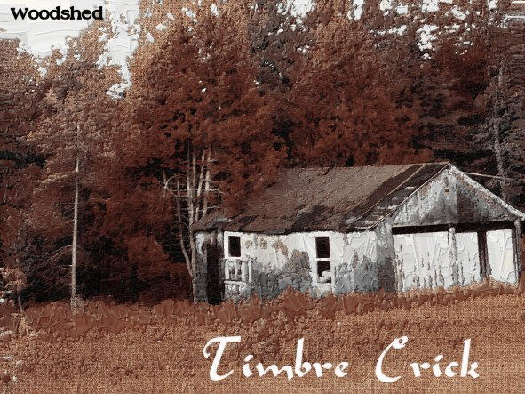 Picture for song 'Breakthrough' by artist 'Timbre Crick'