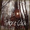 Picture for song 'Come Down' by artist 'Timbre Crick'