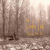 Picture for song 'Goin' Home' by artist 'Timbre Crick'