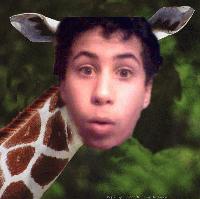 Picture for song 'One' by artist 'Tim Hudson'