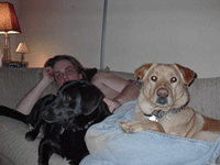 Picture for song 'P.T.' by artist 'tim k and mr wilson'