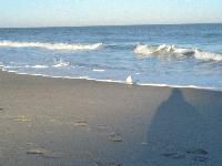 Picture for song 'Jack' by artist 'Timmy Butters'