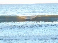 Picture for song 'Simple Things' by artist 'Timmy Butters'