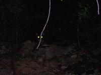 Picture for song 'Wrong' by artist 'Timothy Goss'