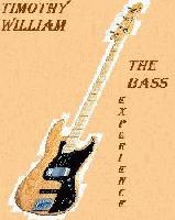 Picture for song 'Reflections' by artist 'TimothyWilliam'