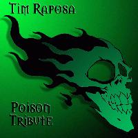 Picture for song 'SOMETHING TO BELIEVE IN--POISON COVER' by artist 'Tim Raposa'