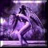 Picture for song 'Angel' by artist 'Tim Sylvester'