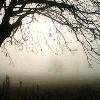 Picture for song 'The Avalon Ride' by artist 'tirassic'