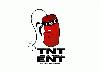 Picture for song 'Ready Or Not (Diesel Feat.Prophecy)' by artist 'TNT(The Nu Threatz)'