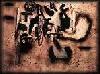 Picture for song 'basement noise' by artist 'Todd Erling'