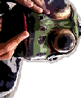 Picture for song 'finkle' by artist 'tolchocked'