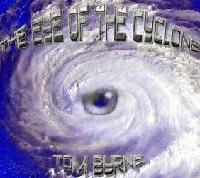 Picture for song 'Microcosm' by artist 'Tom Byrne'