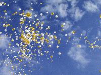 Picture for song 'Balloons in the Sky' by artist 'Tom de Vos'