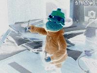 Picture for song 'manifest' by artist 'tomfoolery'