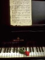 Picture for song 'LONDON' by artist 'TOMIKO'