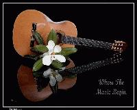 Picture for song 'mutual' by artist 'TOMIKO'