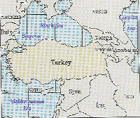 Picture for song 'Thanksgiving' by artist 'Tom is Awesome'