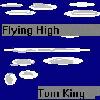 Picture for song 'Flying High' by artist 'Tom King'